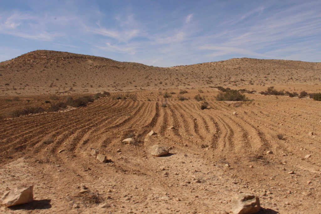 איך חיים במדבר הזה?